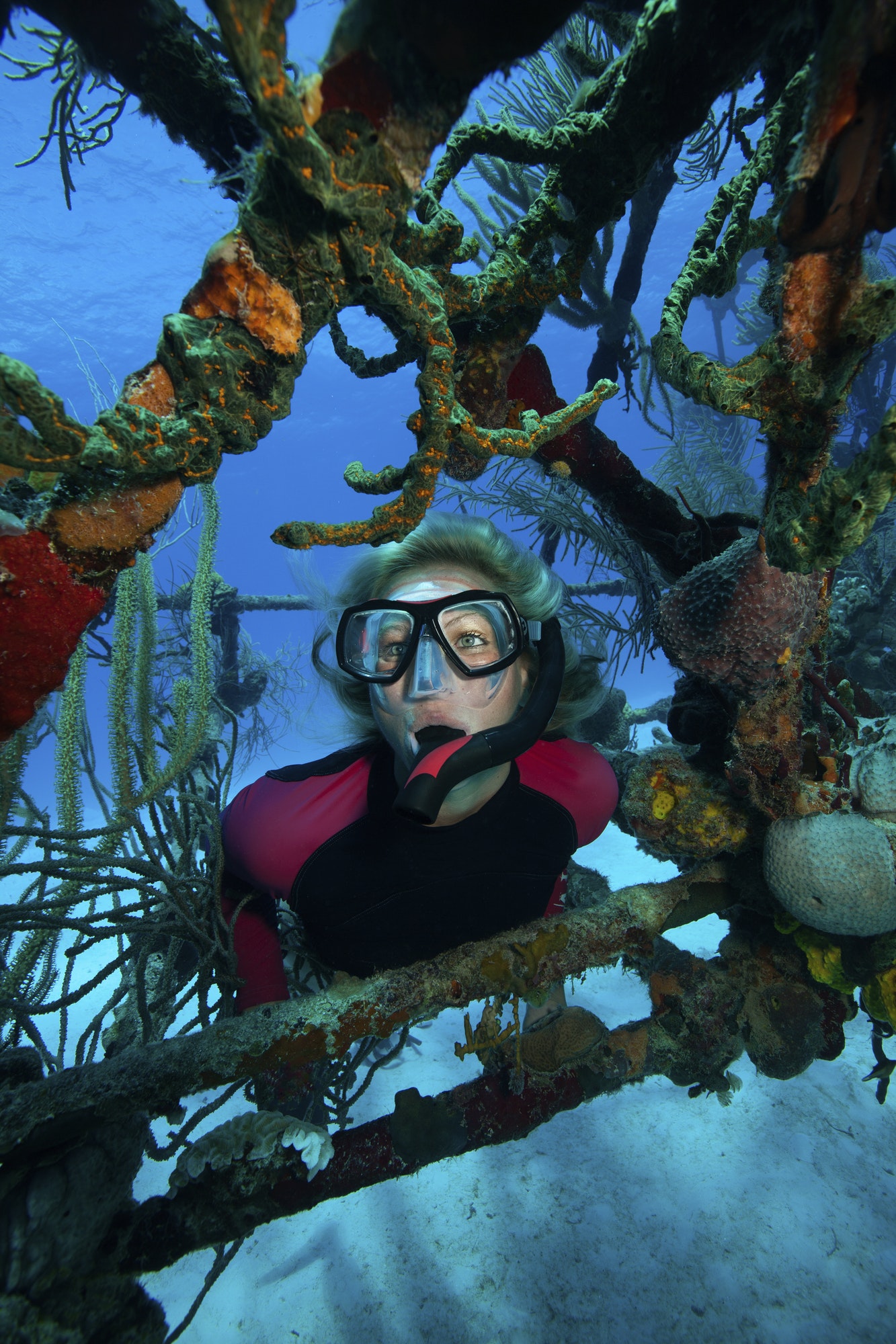 snorkeler-framed-by-the-struts-of-a-wreck-of-a-plane-on-the-seabed-.jpg